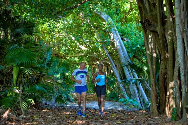 people walking in the forest