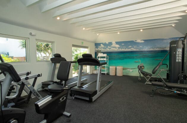 A gym with treadmills and other exercise equipment.