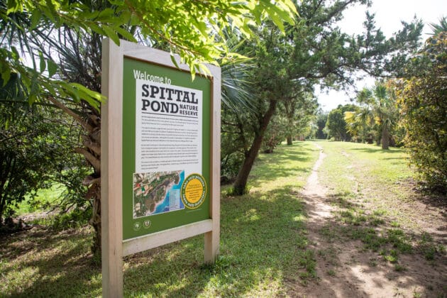 Spittal Pond Nature Reserve